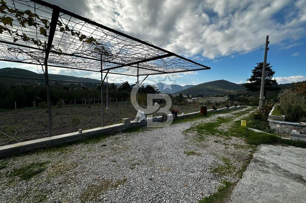 Tarla İçinde Meyve Bahçeli Müstakil Çiftlik Evi