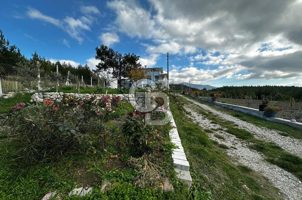 Tarla İçinde Meyve Bahçeli Müstakil Çiftlik Evi