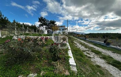 Tarla İçinde Meyve Bahçeli Müstakil Çiftlik Evi