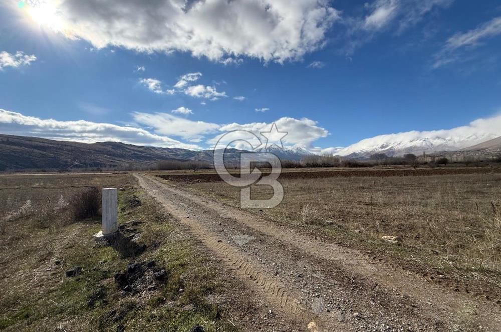 COLDWELL BANKER SAFİR'den DOĞANŞEHİR de SATILIK TARLALAR