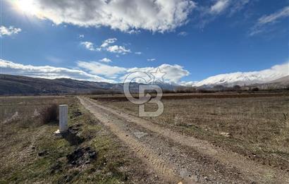 COLDWELL BANKER SAFİR'den DOĞANŞEHİR de SATILIK TARLALAR