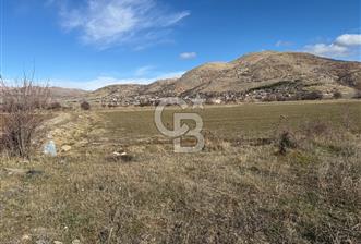 COLDWELL BANKER SAFİR'den DOĞANŞEHİR de SATILIK TARLALAR - 1 - 321994