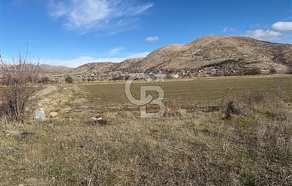 COLDWELL BANKER SAFİR'den DOĞANŞEHİR de SATILIK TARLALAR