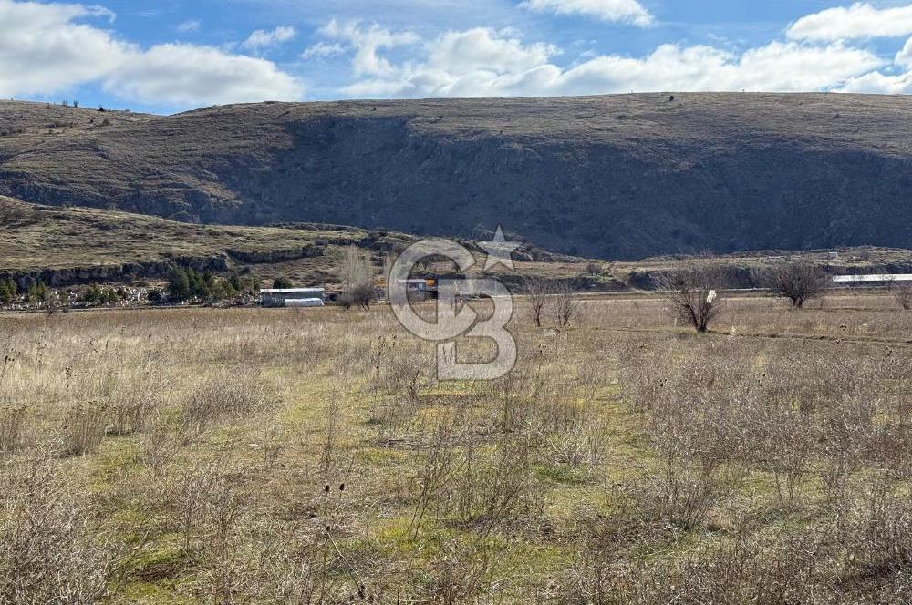 COLDWELL BANKER SAFİR'den DOĞANŞEHİR de SATILIK TARLALAR