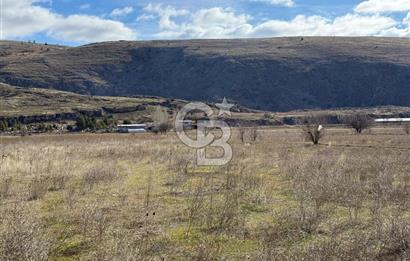 COLDWELL BANKER SAFİR'den DOĞANŞEHİR de SATILIK TARLALAR