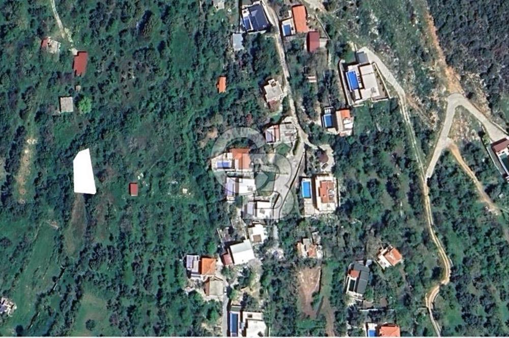 Antalya kaş üzümlü’de yatırımlık bağ