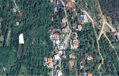 Antalya kaş üzümlü’de yatırımlık bağ