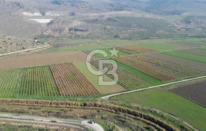 MENEMEN YANIKKÖY'DE 5751 M² SATILIK TARLA