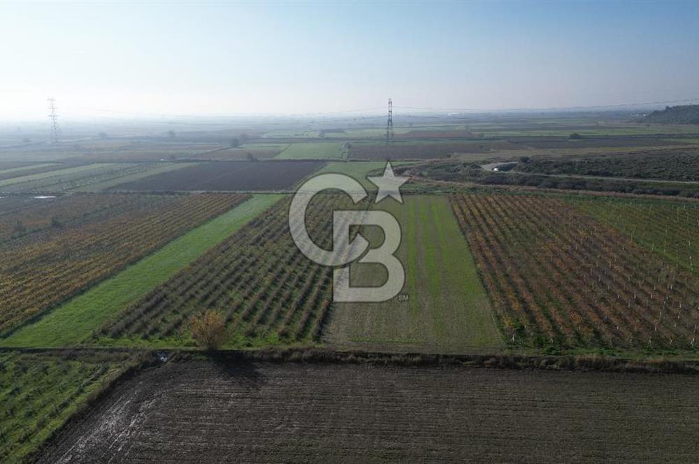 MENEMEN YANIKKÖY'DE 5751 M² SATILIK TARLA