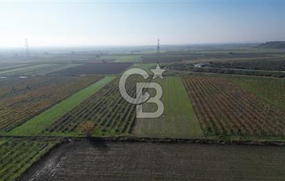 MENEMEN YANIKKÖY'DE 5751 M² SATILIK TARLA