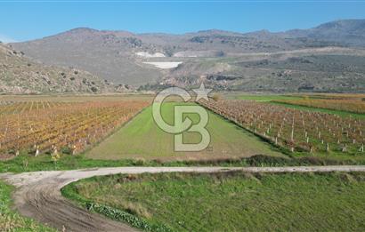 MENEMEN YANIKKÖY'DE 5751 M² SATILIK TARLA