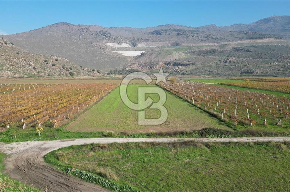 MENEMEN YANIKKÖY'DE 5751 M² SATILIK TARLA