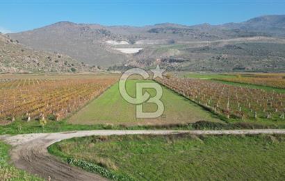 MENEMEN YANIKKÖY'DE 5751 M² SATILIK TARLA