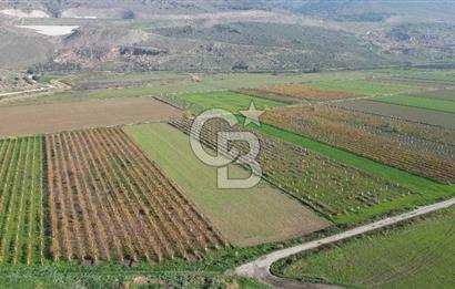 MENEMEN YANIKKÖY'DE 5751 M² SATILIK TARLA