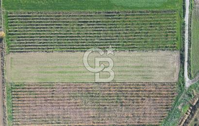 MENEMEN YANIKKÖY'DE 5751 M² SATILIK TARLA