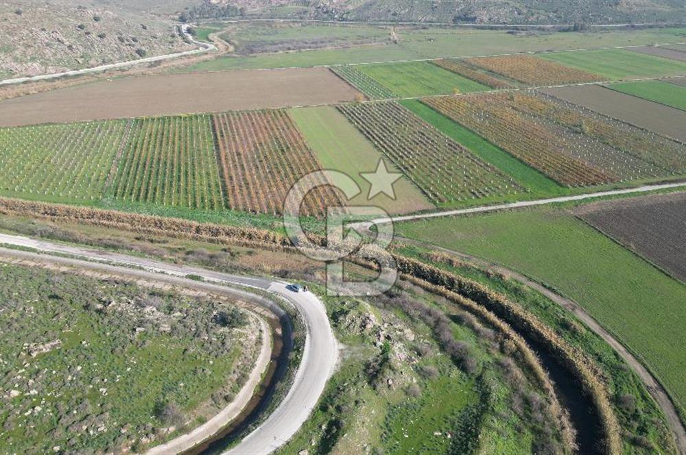 MENEMEN YANIKKÖY'DE 5751 M² SATILIK TARLA