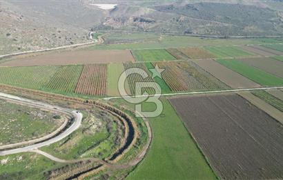 MENEMEN YANIKKÖY'DE 5751 M² SATILIK TARLA