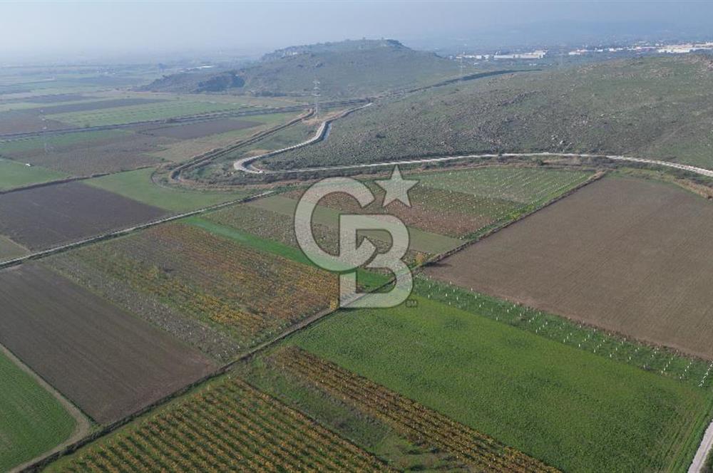 MENEMEN YANIKKÖY'DE 5751 M² SATILIK TARLA