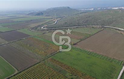 MENEMEN YANIKKÖY'DE 5751 M² SATILIK TARLA