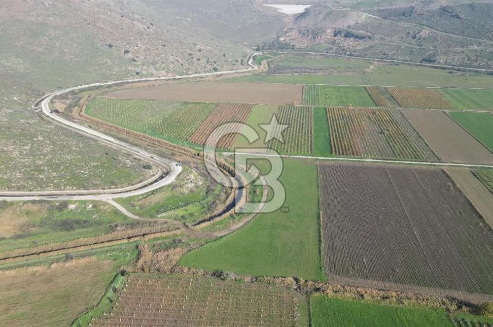 MENEMEN YANIKKÖY'DE 5751 M² SATILIK TARLA