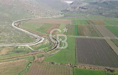 MENEMEN YANIKKÖY'DE 5751 M² SATILIK TARLA