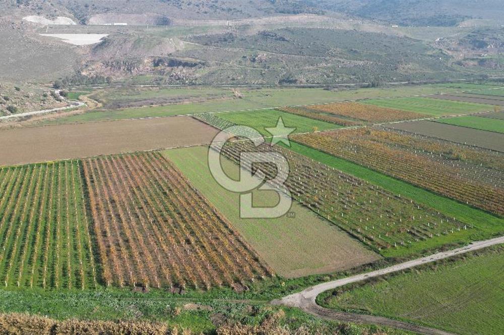 MENEMEN YANIKKÖY'DE 5751 M² SATILIK TARLA