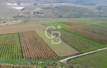 MENEMEN YANIKKÖY'DE 5751 M² SATILIK TARLA