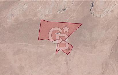 ERZURUM İSPİR ORTAÖRENDE GES VE ARICILIĞA UYGUN 12.551 m² TARLA