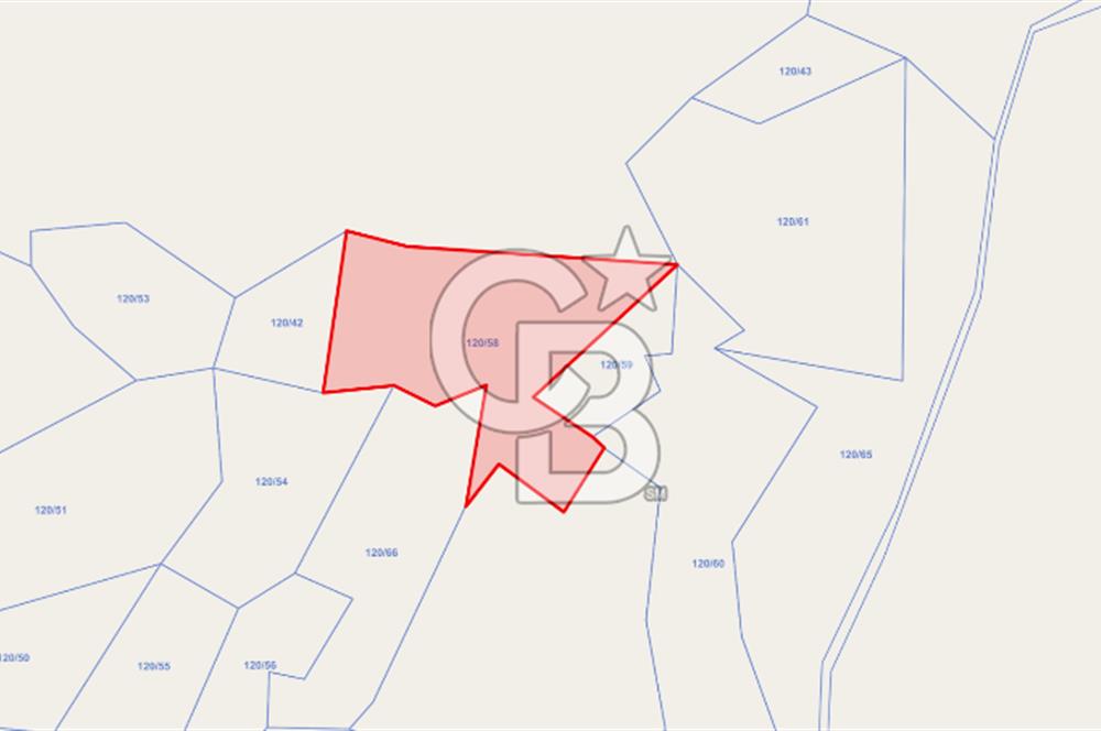 ERZURUM İSPİR ORTAÖRENDE GES VE ARICILIĞA UYGUN 12.551 m² TARLA