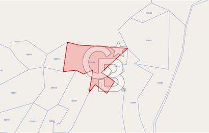 ERZURUM İSPİR ORTAÖRENDE GES VE ARICILIĞA UYGUN 12.551 m² TARLA