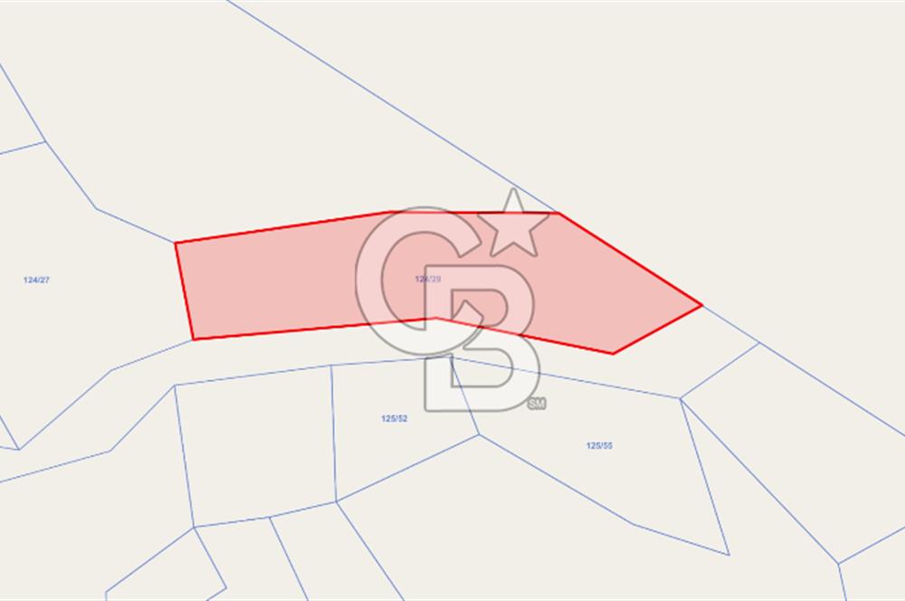 ERZURUM İSPİR ORTAÖRENDE GES VE ARICILIĞA UYGUN 20.287 m² TARLA