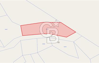 ERZURUM İSPİR ORTAÖRENDE GES VE ARICILIĞA UYGUN 20.287 m² TARLA