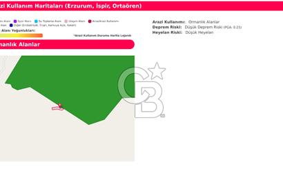 ERZURUM İSPİR ORTAÖRENDE GES VE ARICILIĞA UYGUN 20.287 m² TARLA