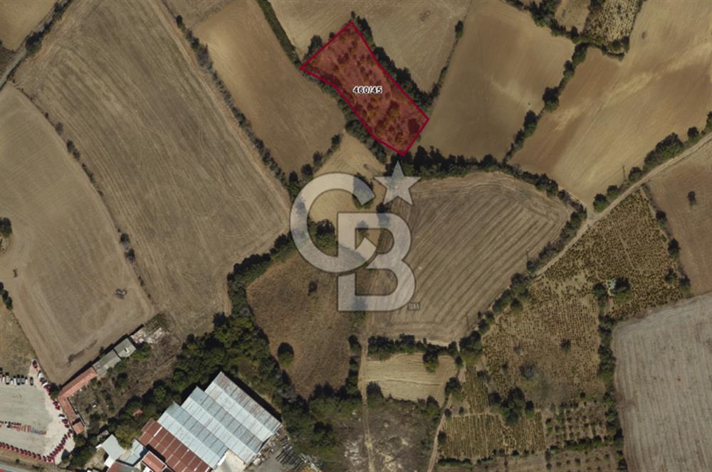 TEKİRDAĞ SÜLEYMANPAŞA YAVUZ MAHALLESİNDE İMARLI ARSA