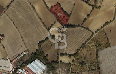 TEKİRDAĞ SÜLEYMANPAŞA YAVUZ MAHALLESİNDE İMARLI ARSA