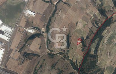 TEKİRDAĞ ÇERKEZKÖY VELİKÖYDE OSB YAKINI 3 PARSEL SATILIK ARAZİ