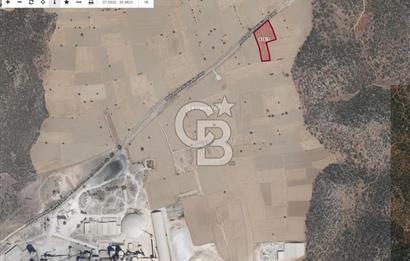 Bucak-Kızılkaya/Avdan 11.868 m2 Satılık Tarla