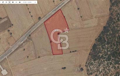 Bucak-Kızılkaya/Avdan 11.868 m2 Satılık Tarla