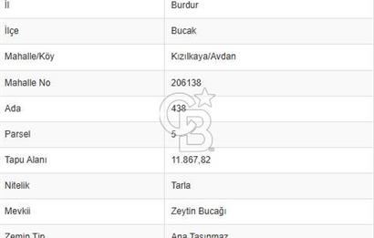 Bucak-Kızılkaya/Avdan 11.868 m2 Satılık Tarla