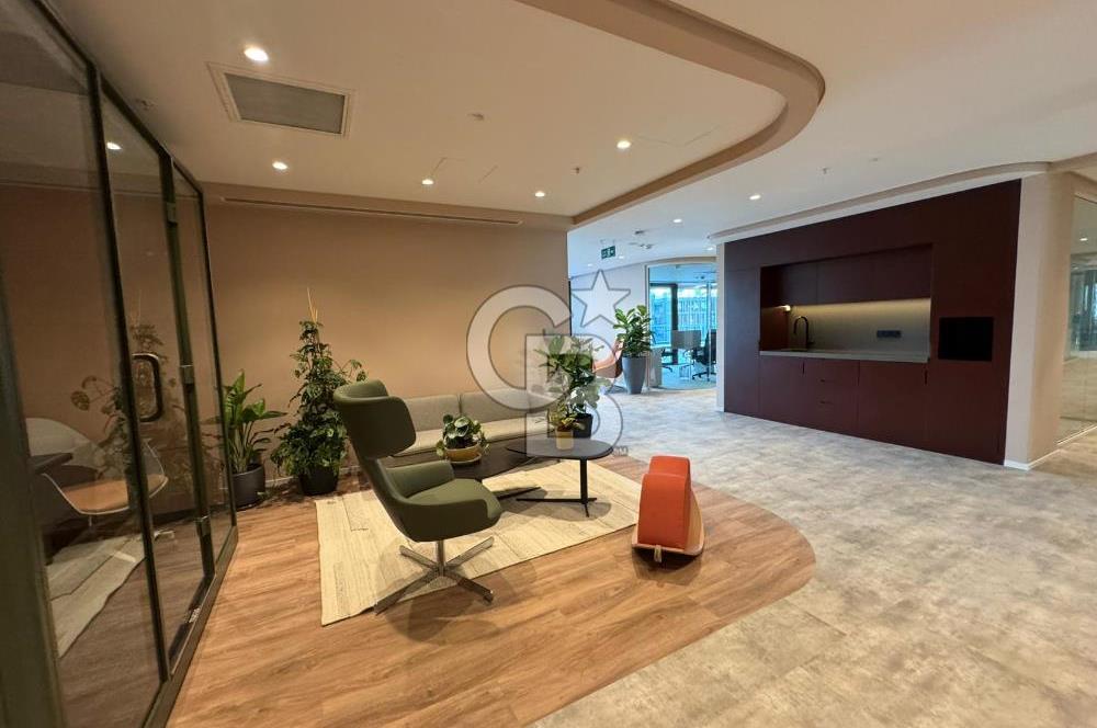 NEO'DAN ÇANKAYA'DA 12 KİŞİLİK PRESTİJLİ DEKORASYONLU HAZIR OFİS