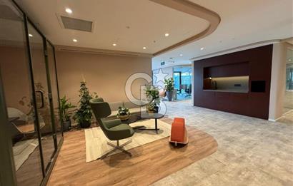 NEO'DAN ÇANKAYA'DA 12 KİŞİLİK PRESTİJLİ DEKORASYONLU HAZIR OFİS