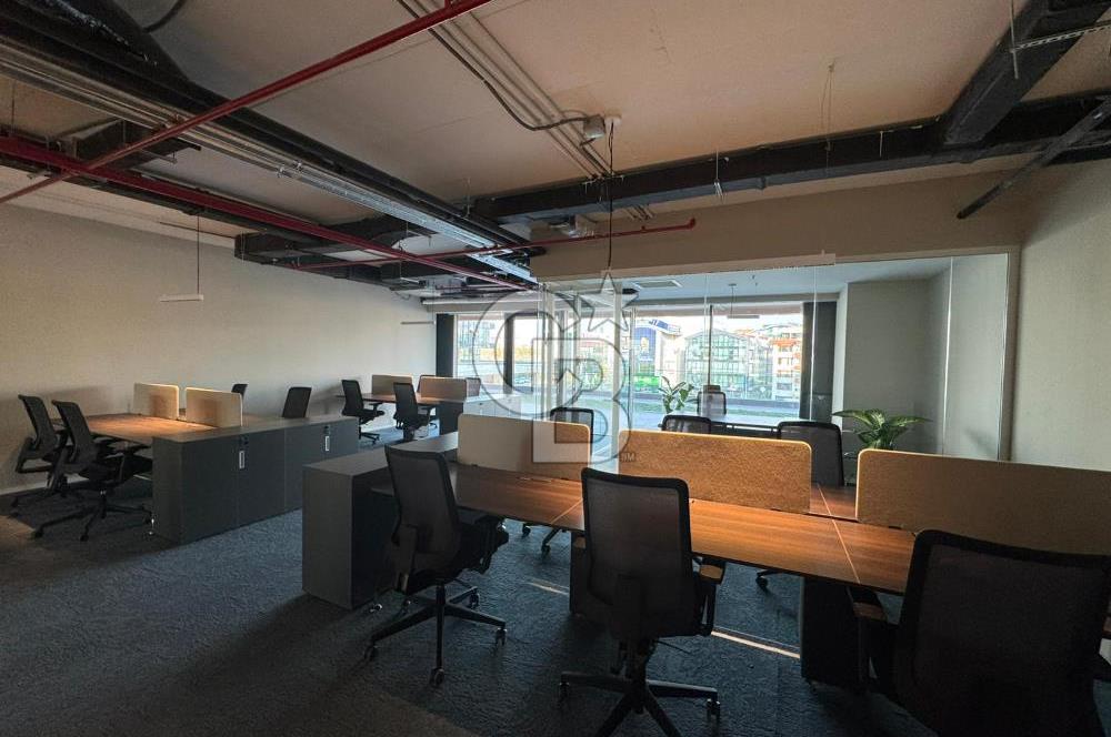 NEO'DAN ÇANKAYA'DA 12 KİŞİLİK PRESTİJLİ DEKORASYONLU HAZIR OFİS