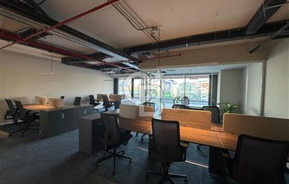 NEO'DAN ÇANKAYA'DA 12 KİŞİLİK PRESTİJLİ DEKORASYONLU HAZIR OFİS