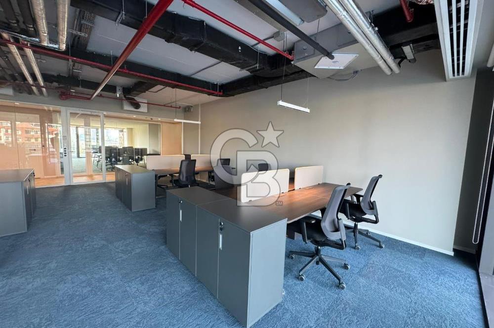 NEO'DAN ÇANKAYA'DA 12 KİŞİLİK PRESTİJLİ DEKORASYONLU HAZIR OFİS