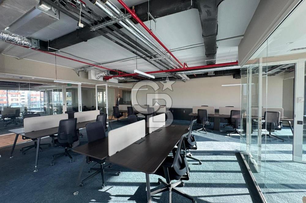 NEO'DAN ÇANKAYA'DA 2O KİŞİLİK A++ PLAZA DA PRESTİJLİ HAZIR OFİS