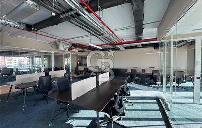 NEO'DAN ÇANKAYA'DA 2O KİŞİLİK A++ PLAZA DA PRESTİJLİ HAZIR OFİS