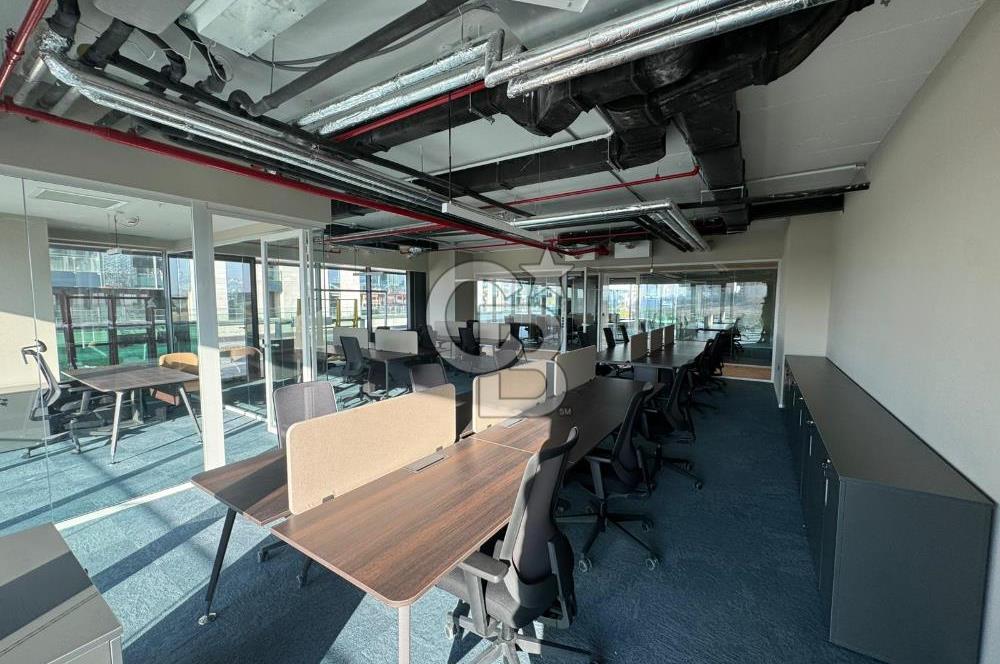 NEO'DAN ÇANKAYA'DA 2O KİŞİLİK A++ PLAZA DA PRESTİJLİ HAZIR OFİS
