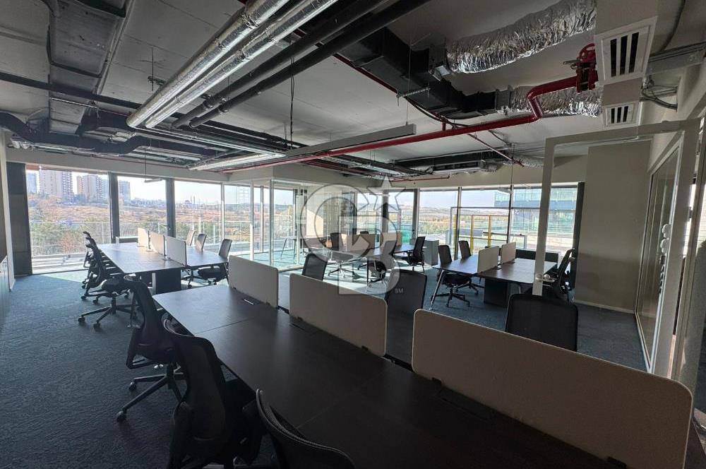 NEO'DAN ÇANKAYA'DA 2O KİŞİLİK A++ PLAZA DA PRESTİJLİ HAZIR OFİS