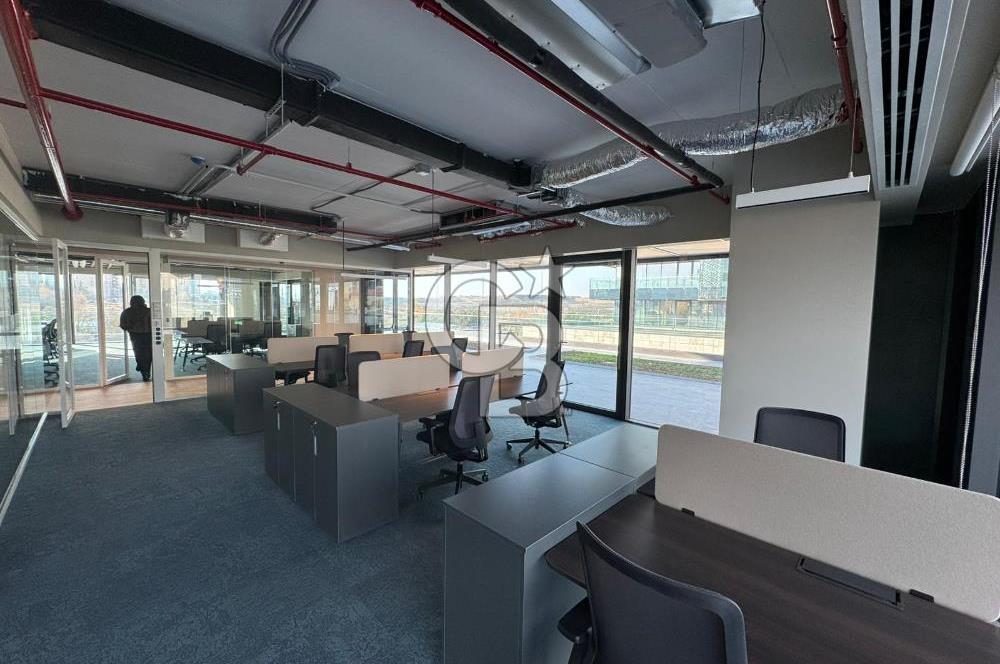 NEO'DAN ÇANKAYA'DA 2O KİŞİLİK A++ PLAZA DA PRESTİJLİ HAZIR OFİS