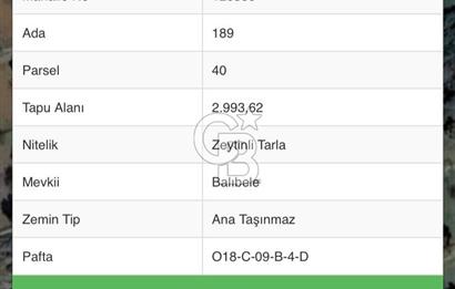DATÇA KNİDOS ANAYOLUNA YAKIN FULL KAPANMAZ DENİZ MANZARALI SATILIK